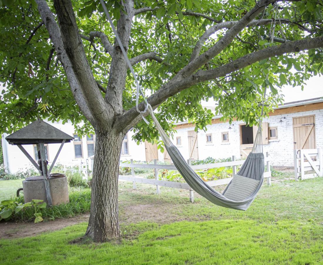 Cozy Airport Apartamento Vecsés Exterior foto